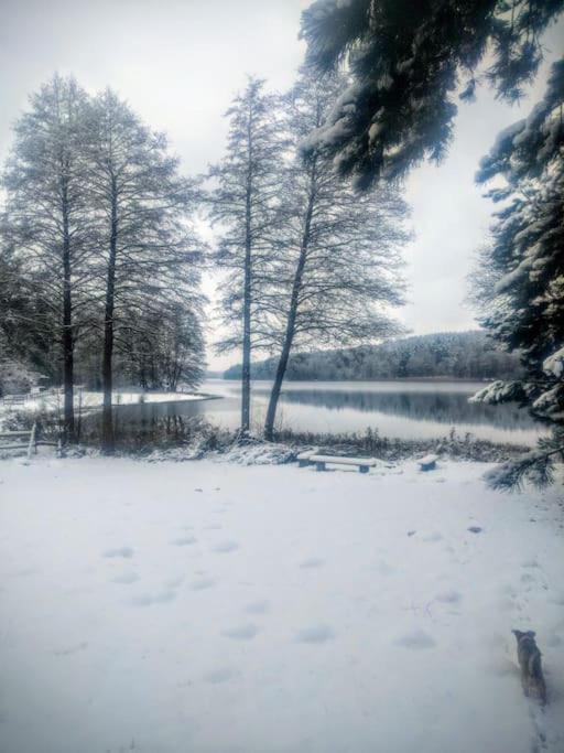 Przystanek Golubie Exterior foto